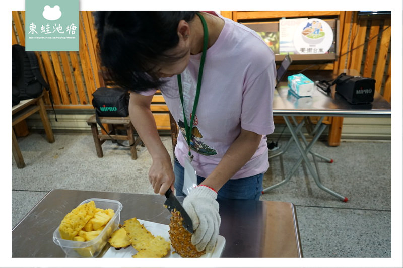 【台東鹿野手作DIY體驗推薦】春一枝鹿野76鳳梨豆醬 饗嚮台東imagine taitung