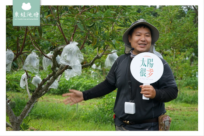 【台東釋迦推薦】2020東京奧運選手級的食品標準 太陽很多釋迦果園