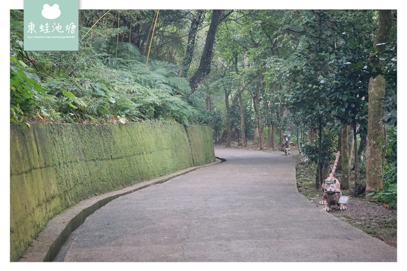 【桃園復興景點推薦】軍事風3D彩繪 角板山公園戰備隧道