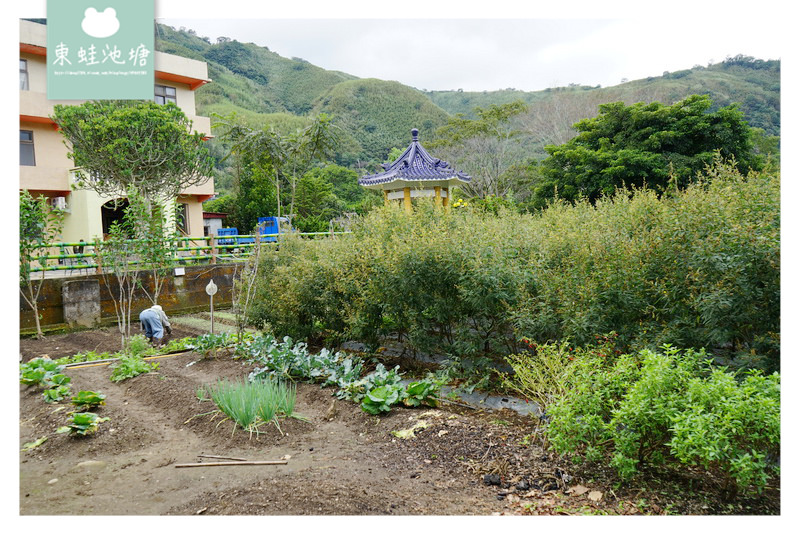 【桃園復興美食推薦】部落山水輕旅行原住民風味餐 蝶木窩露營休閒坊