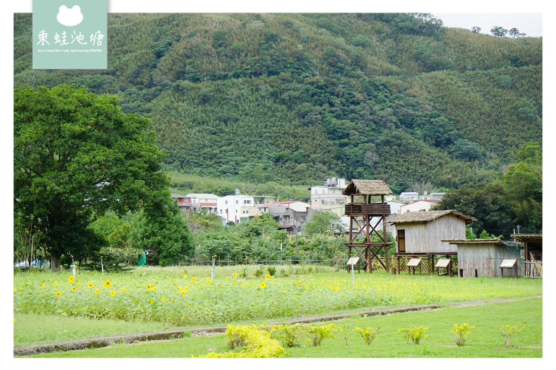 【桃園復興一日遊行程推薦】泰雅小米園區 羅浮部落文化解說 原住民編織卡片DIY