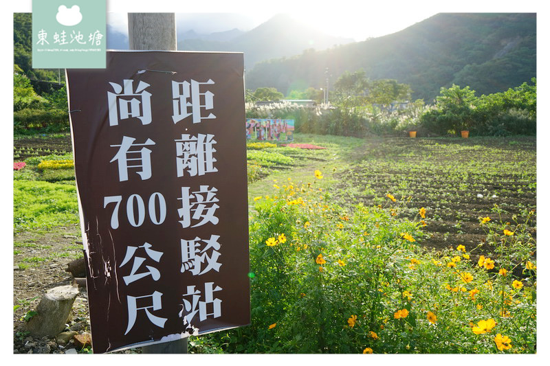 【桃園復興景點推薦】全台最長的懸索橋 大漢溪谷美景 新溪口吊橋