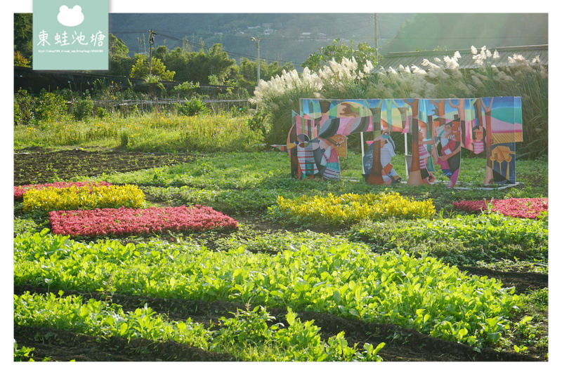 【桃園復興賞花趣】泰雅族菱形紋花園 薰衣草花海 溪口地景藝術