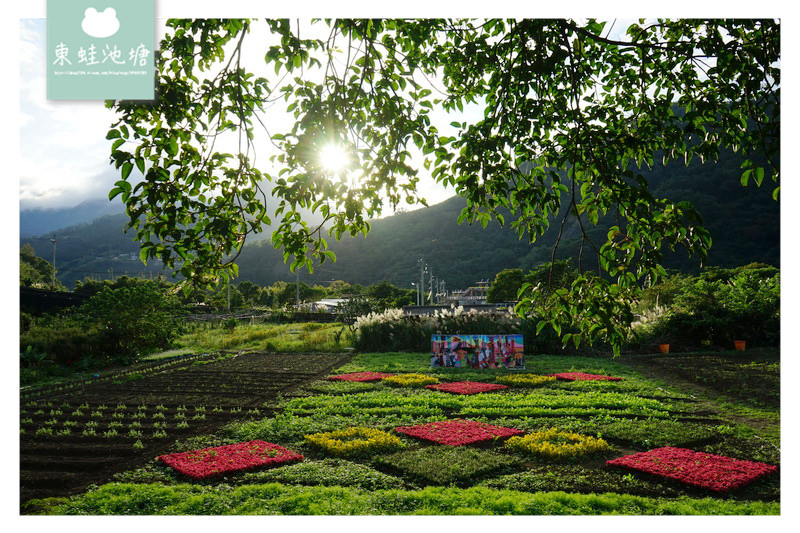 【桃園復興賞花趣】泰雅族菱形紋花園 薰衣草花海 溪口地景藝術
