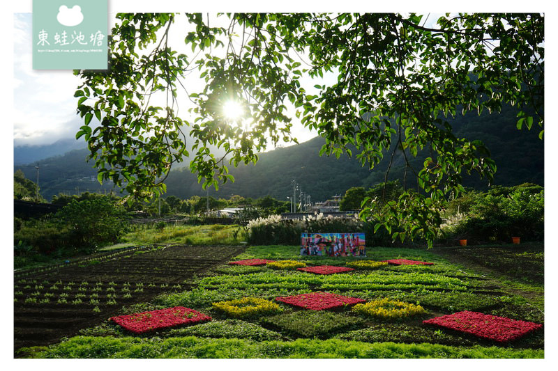 【桃園復興賞花趣】泰雅族菱形紋花園 薰衣草花海 溪口地景藝術