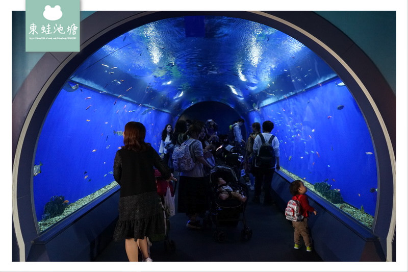 【大阪親子景點推薦】大阪港天保山摩天輪旁 日本最壯觀水族館之一 大阪海遊館 Osaka Aquarium KAIYUKAN