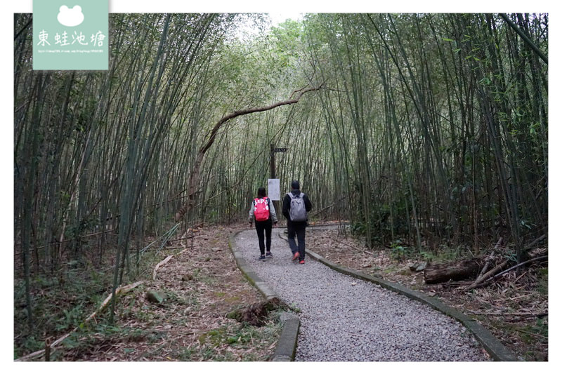 【桃園復興免費景點】賽德克巴萊彩虹橋拍攝場景 義興吊橋