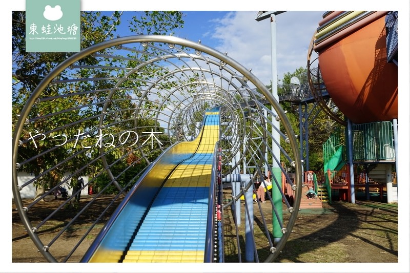 【大阪溜滑梯推薦】大阪親子景點 大人小孩都好玩 やったねの木 萬博紀念公園