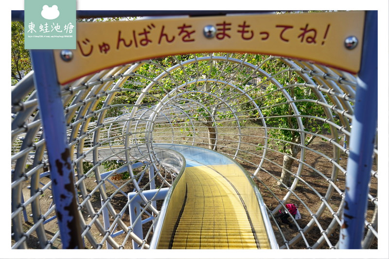 【大阪溜滑梯推薦】大阪親子景點 大人小孩都好玩 やったねの木 萬博紀念公園