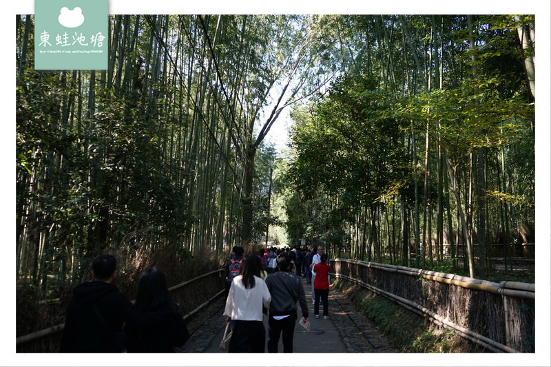 【京都嵐電嵐山站周邊景點推薦】嵐山嵯峨野 渡月橋 野宮神社 竹林之道
