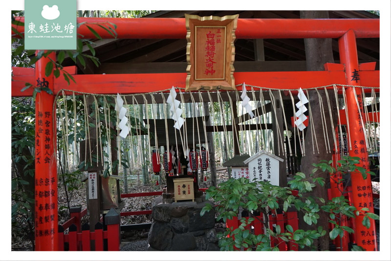 【京都嵐電嵐山站周邊景點推薦】嵐山嵯峨野 渡月橋 野宮神社 竹林之道