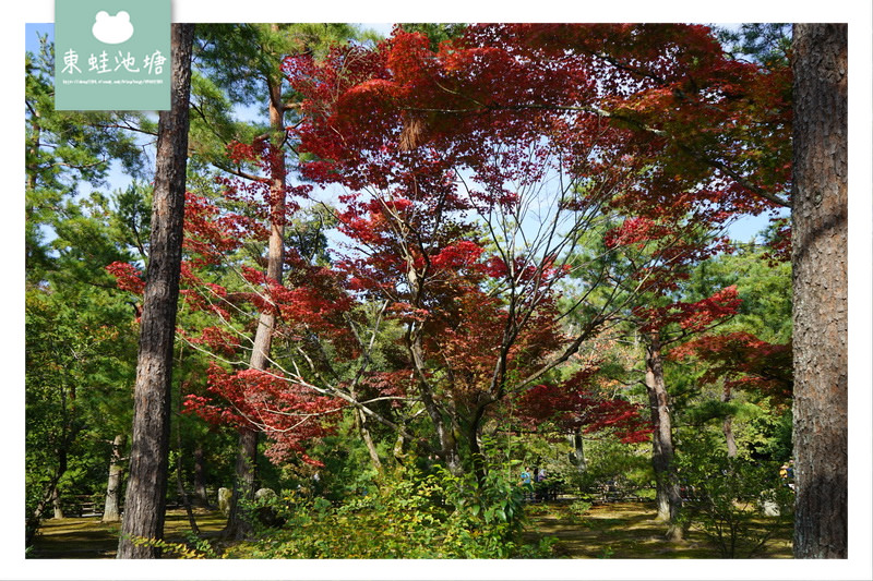 【京都景點推薦】世界文化遺產 古都京都的文化財 鹿苑寺 金閣寺