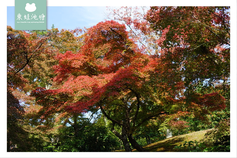 【京都景點推薦】世界文化遺產 古都京都的文化財 鹿苑寺 金閣寺