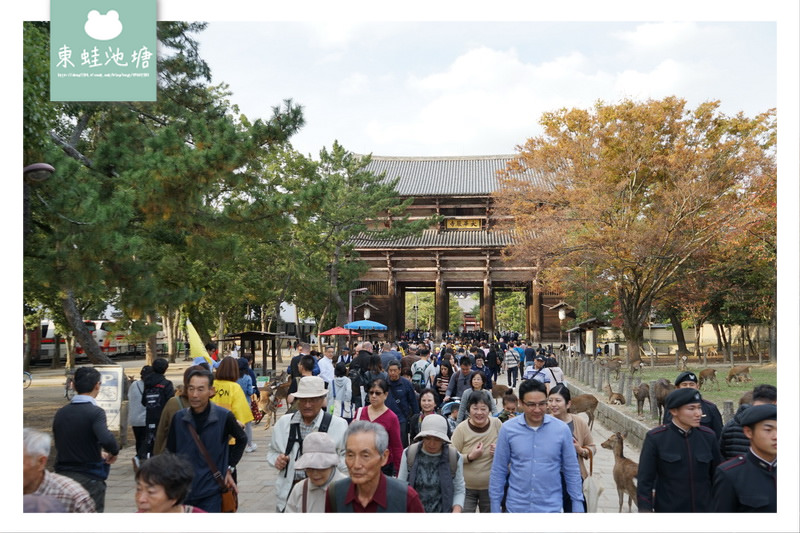 【奈良景點推薦】世界遺產古都奈良文化財 東大寺 大佛的鼻孔