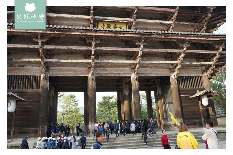 【奈良景點推薦】世界遺產古都奈良文化財 東大寺 大佛的鼻孔