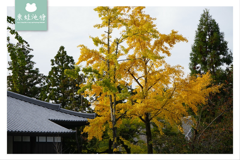 【奈良景點推薦】世界遺產古都奈良文化財 東大寺 大佛的鼻孔