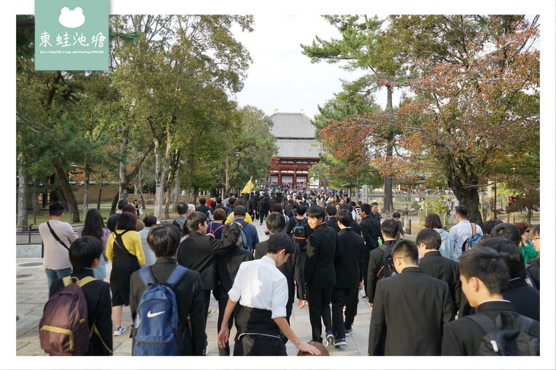 【奈良景點推薦】世界遺產古都奈良文化財 東大寺 大佛的鼻孔