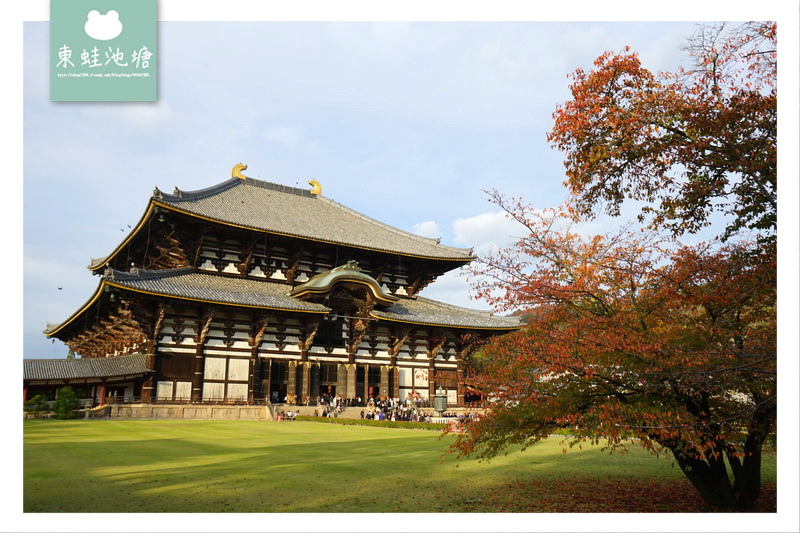 【奈良景點推薦】世界遺產古都奈良文化財 東大寺 大佛的鼻孔