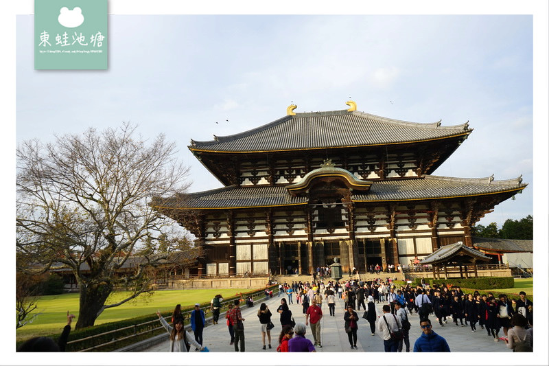 【奈良景點推薦】世界遺產古都奈良文化財 東大寺 大佛的鼻孔