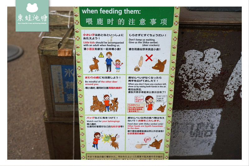 【奈良行程規劃推薦】奈良餵鹿趣 5大餵鹿守則 150日元鹿仙貝