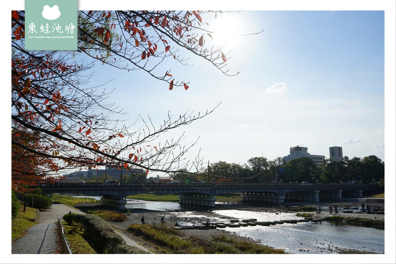 【京都免費景點推薦】京都夏天親子玩水行程 鴨川跳烏龜