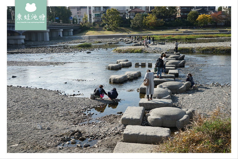 【京都免費景點推薦】京都夏天親子玩水行程 鴨川跳烏龜