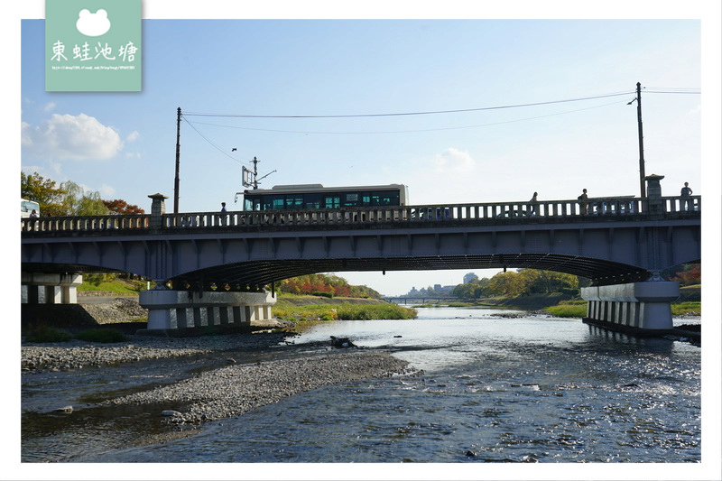 【京都免費景點推薦】京都夏天親子玩水行程 鴨川跳烏龜