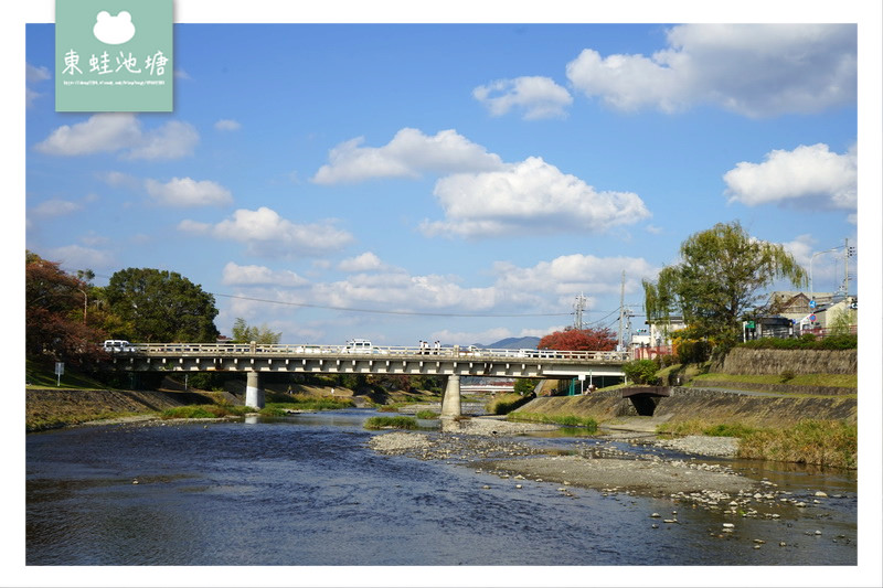 【京都免費景點推薦】京都夏天親子玩水行程 鴨川跳烏龜