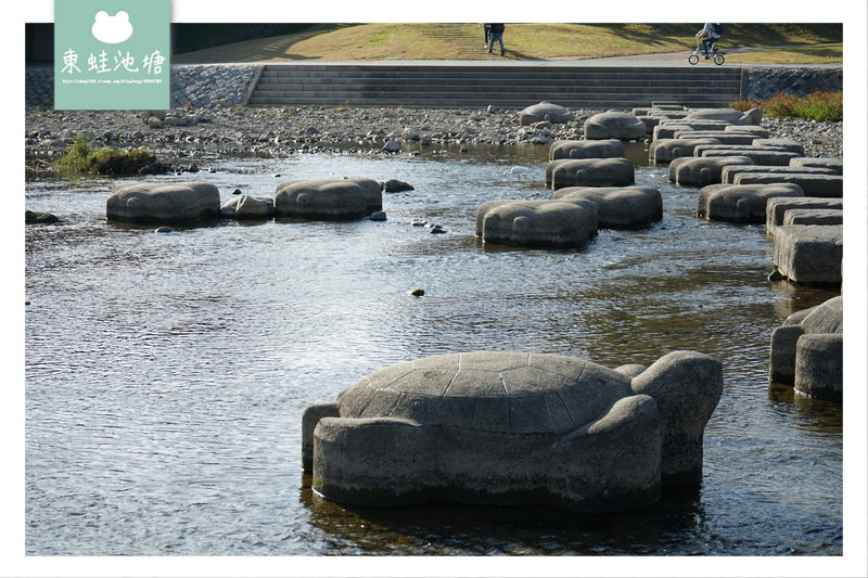 【京都免費景點推薦】京都夏天親子玩水行程 鴨川跳烏龜