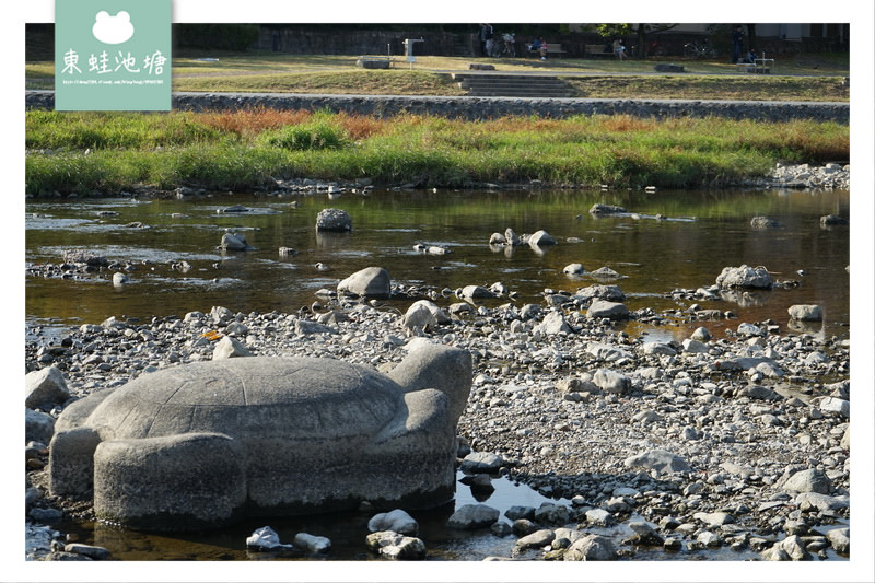 【京都免費景點推薦】京都夏天親子玩水行程 鴨川跳烏龜