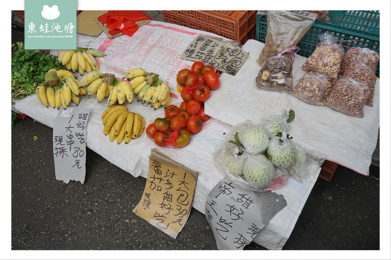 【彰化親子景點推薦】溪湖糖廠鐵雕藝術區/親子草原 蒸氣觀光五分車