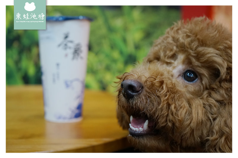 【桃園蘆竹南崁手搖飲推薦】好喝半熟奶茶/黃金芯芽 茶聚茗品桃園南崁店