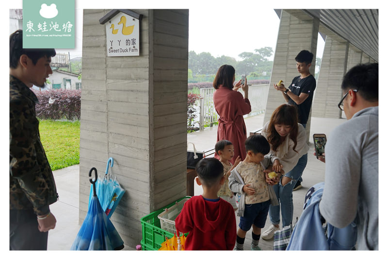 【宜蘭礁溪親子景點推薦】室內景點餵鴨鴨 清水模鴨舍超好拍 甲鳥園