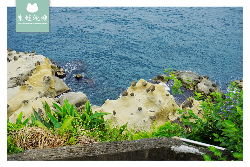 【基隆親子景點推薦】奇特海蝕地形景觀 270度海景雷達站 免費定時導覽蕃字洞 和平島公園 Heping Island Park