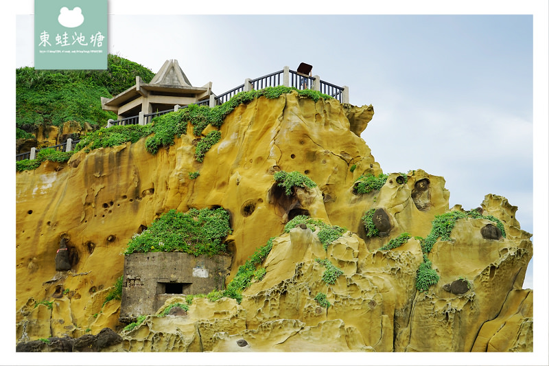 【基隆親子景點推薦】奇特海蝕地形景觀 270度海景雷達站 免費定時導覽蕃字洞 和平島公園 Heping Island Park