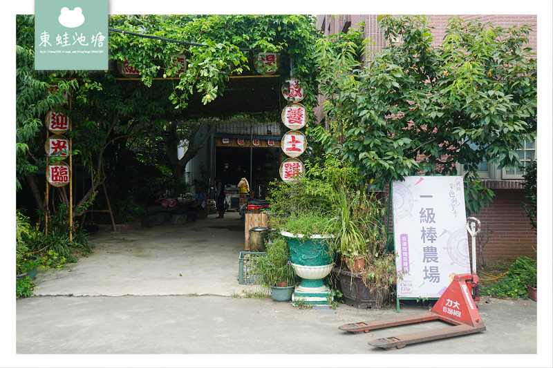 【桃園溪海半日遊行程推薦】親子採果樂體驗 火龍果吃到飽 一級棒農場