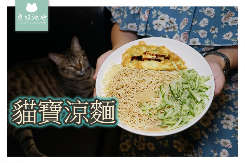 【內壢涼麵推薦】元智大學宵夜好選擇 大份量涼麵滷肉飯 貓寶涼麵