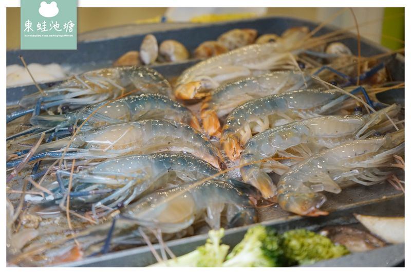 【桃園八德吃到飽推薦】真正桌邊泰國水道蝦 生蠔肉片無限量供應 豐富熟食吃到飽 泰蝦樂流水道泰國蝦吃到飽