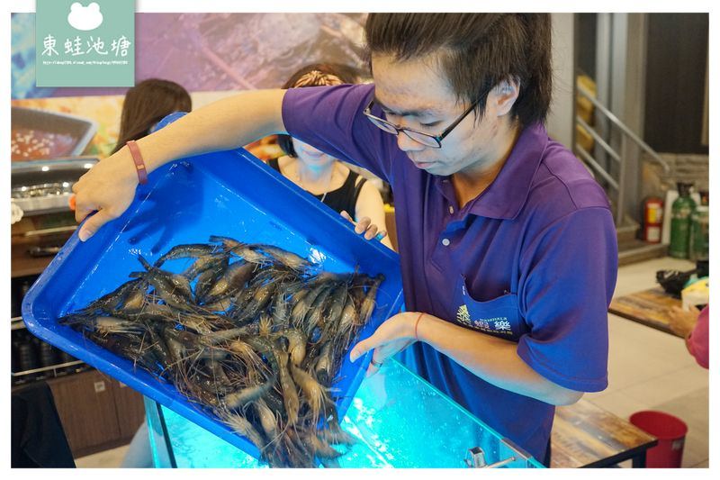 【桃園八德吃到飽推薦】真正桌邊泰國水道蝦 生蠔肉片無限量供應 豐富熟食吃到飽 泰蝦樂流水道泰國蝦吃到飽