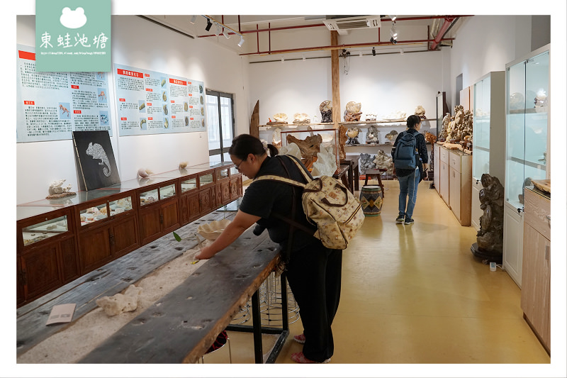 【溫州洞頭傳統工藝】館藏1200多件螺鈿文物 東海貝雕藝術博物館