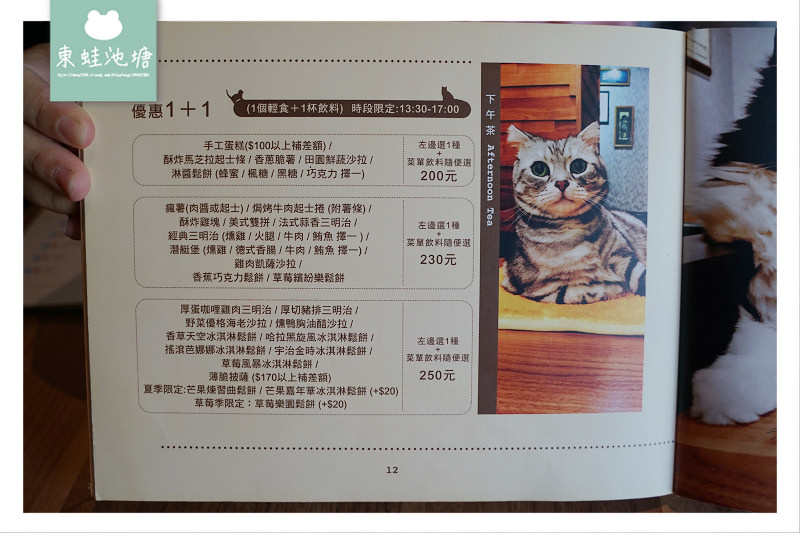 【中壢貓咪咖啡館推薦】舒適用餐環境 美味燉飯下午茶 突奌咖啡喵