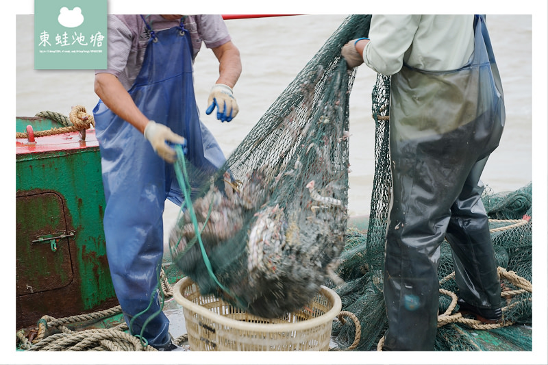 【溫州洞頭出海捕魚體驗行程】體驗漁民捕魚生活 新鮮加菜超美味
