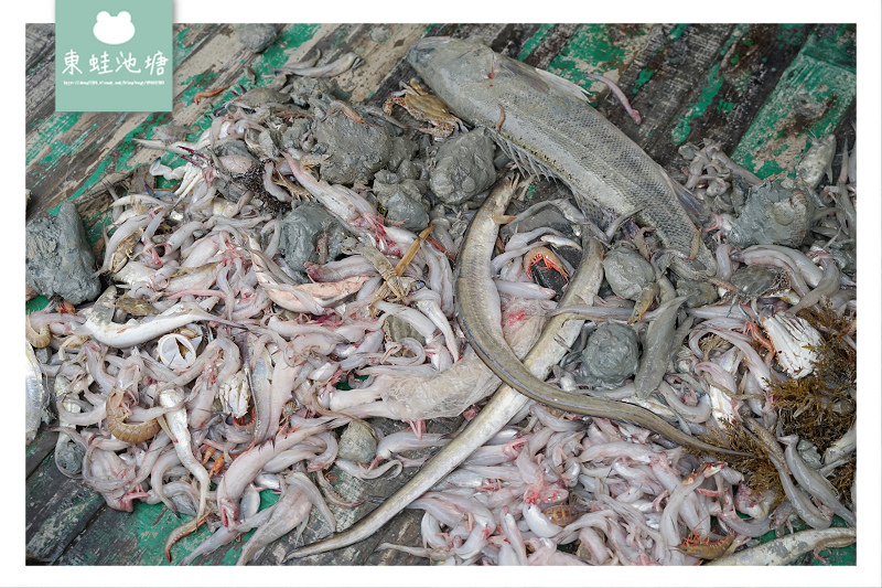 【溫州洞頭出海捕魚體驗行程】體驗漁民捕魚生活 新鮮加菜超美味