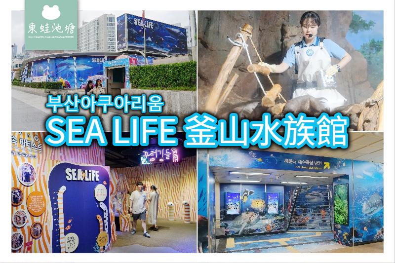 【釜山海雲台景點推薦】釜山親子室內景點好選擇 SEA LIFE 釜山水族館 부산아쿠아리움