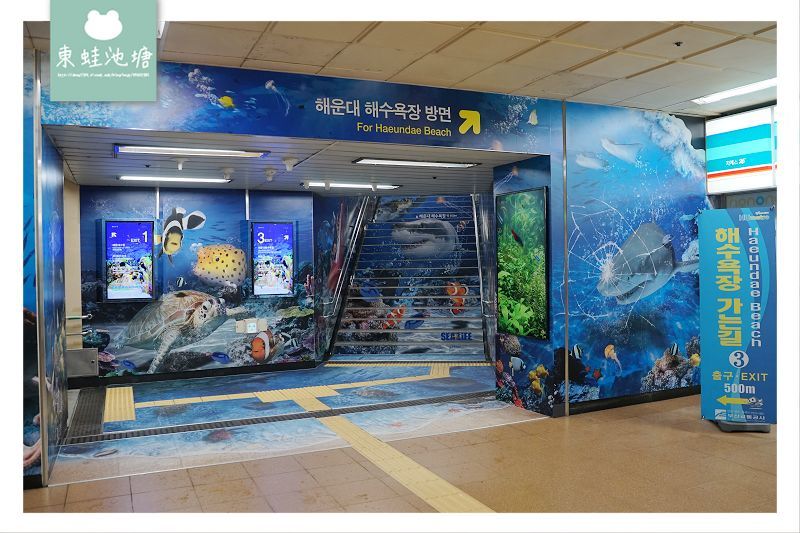 【釜山海雲台景點推薦】釜山親子室內景點好選擇 SEA LIFE 釜山水族館 부산아쿠아리움