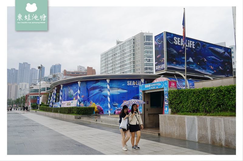 【釜山海雲台景點推薦】釜山親子室內景點好選擇 SEA LIFE 釜山水族館 부산아쿠아리움