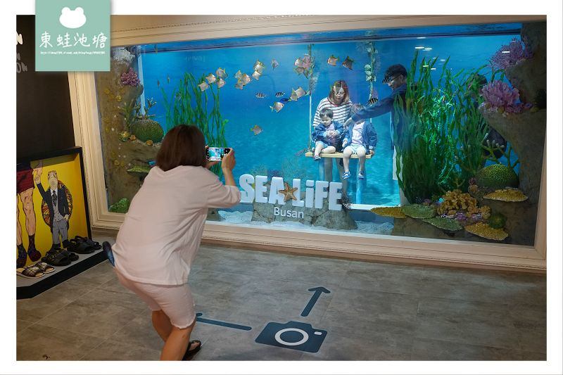 【釜山海雲台景點推薦】釜山親子室內景點好選擇 SEA LIFE 釜山水族館 부산아쿠아리움