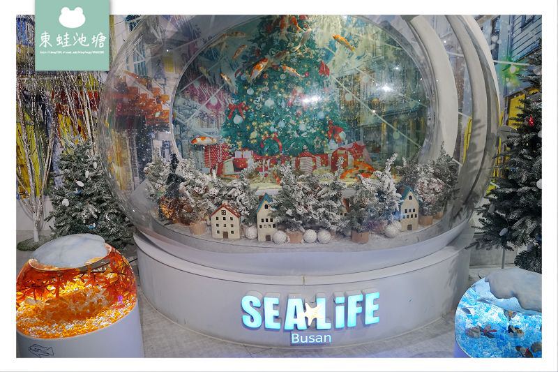 【釜山海雲台景點推薦】釜山親子室內景點好選擇 SEA LIFE 釜山水族館 부산아쿠아리움