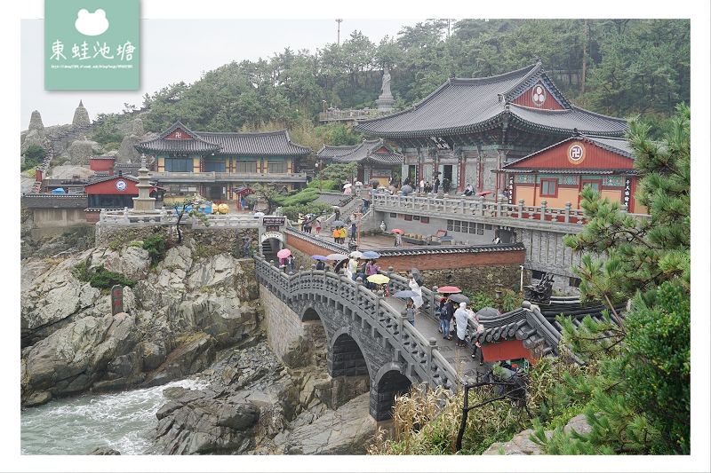 【韓國釜山巴士一日遊行程推薦】KLOOK 客路 釜山天空步道 & 甘川洞文化村 & 海東龍宮寺一日遊