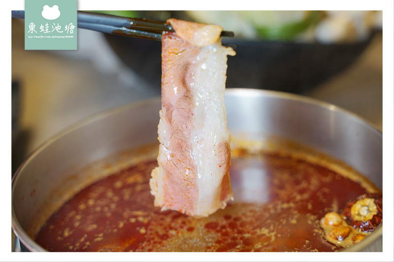 【蘆洲新開幕火鍋推薦】捷運徐匯中學站旁 海老皇饗宴 樂釜 Love Hot Pot 極上鍋物